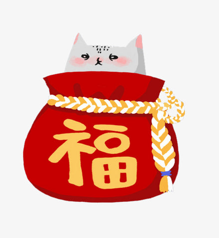 Fukubukuro #5 (Boy)